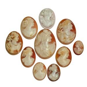 Vintage Conch Shell & Sardonyx Cameo Brooch Lot